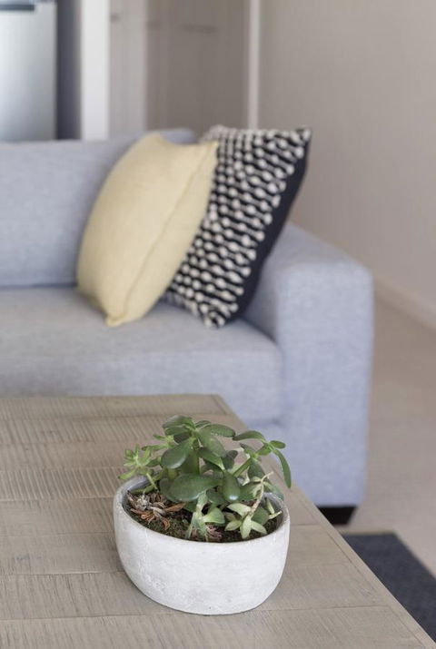 Port Adelaide Executive Waterfront Apartment - Accommodation Nelson Bay 18