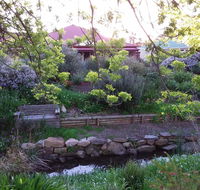 Frog Song at Willunga - Accommodation Nelson Bay