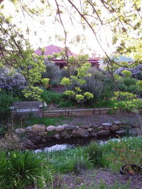 Book Willunga Accommodation Vacations Accommodation Nelson Bay Accommodation Nelson Bay