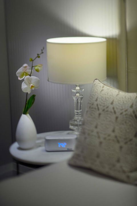 Mayfair Hotel - Accommodation Nelson Bay 13