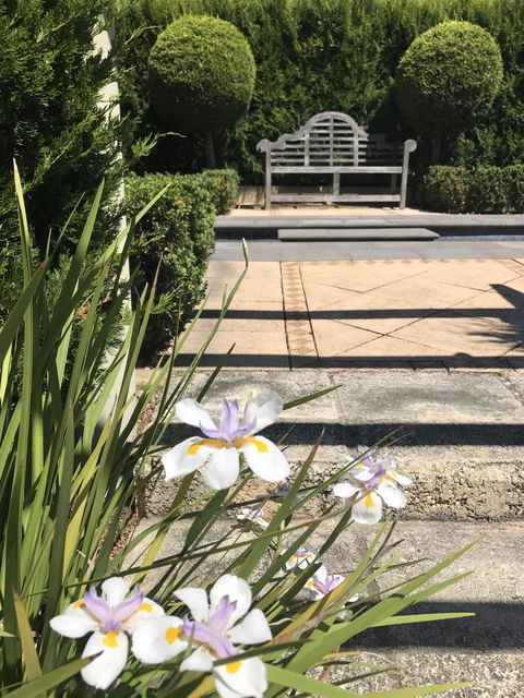 S T U D I O 22 Peaceful Retreat With Garden Views - Accommodation Nelson Bay 13
