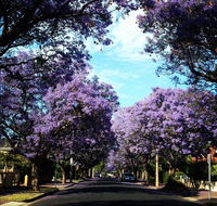 Monaco Court Apartment Adelaide - Accommodation Nelson Bay