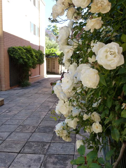 Monaco Court Apartment Adelaide - Accommodation Nelson Bay 19