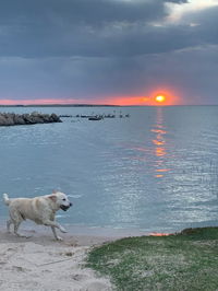 Book Meningie Accommodation Vacations Accommodation Nelson Bay Accommodation Nelson Bay