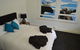 Two Cow Cottage Bed & Breakfast - thumb 23