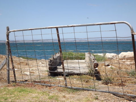 Home On Torrens - Accommodation Nelson Bay 15