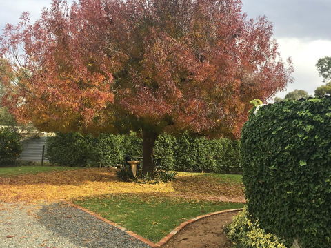 Barossa Retro BnB - Accommodation Nelson Bay 30