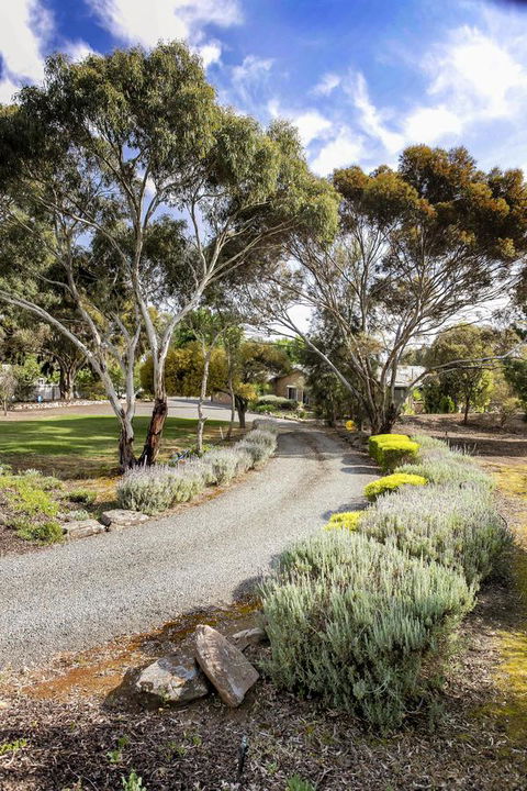 Barossa Retro BnB - Accommodation Nelson Bay 4