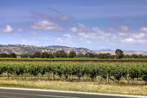 Barossa Retro BnB - Accommodation Nelson Bay 2