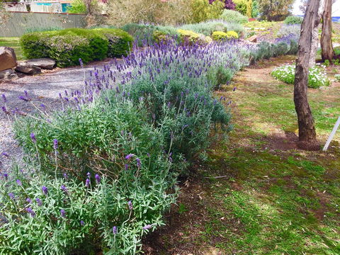 Barossa Retro BnB - Accommodation Nelson Bay 23