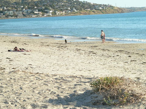 Brighton Beach House - Accommodation Nelson Bay 12