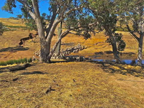 Rabbiters Hut - Accommodation Nelson Bay 22