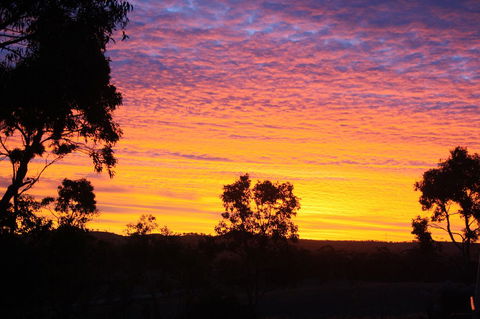 Rabbiters Hut - Accommodation Nelson Bay 33