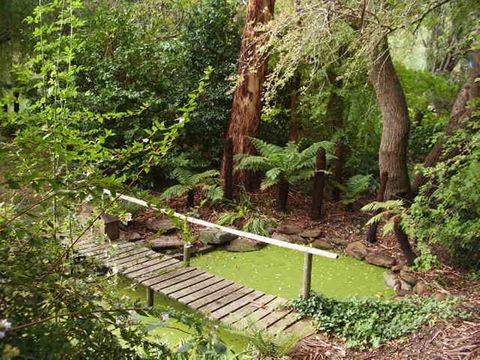 Hilltop - Nelsons Bay Accommodation 10