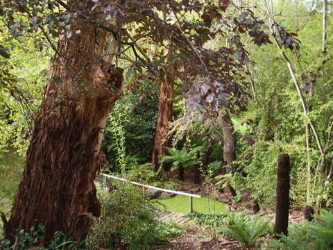 Hilltop - Nelsons Bay Accommodation 13