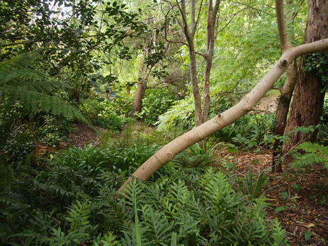 Hilltop - Nelsons Bay Accommodation 17