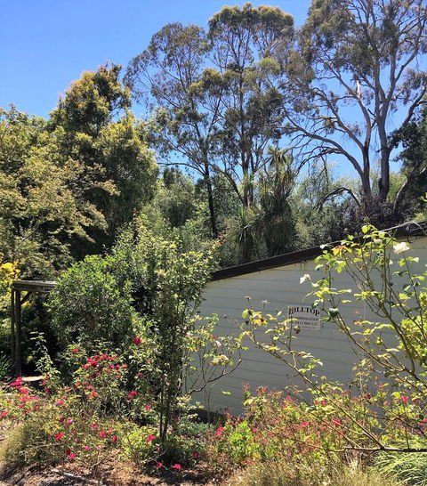 Hilltop - Nelsons Bay Accommodation 9