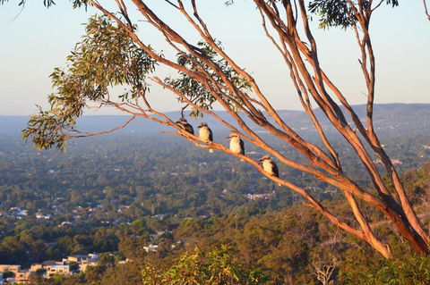 Kingsview Belair, Apartment Grand Views Of Adelaide - Accommodation Nelson Bay 1