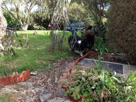 Casuarina Coastal Units - Accommodation Nelson Bay 29