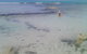 Casuarina Coastal Units - thumb 24