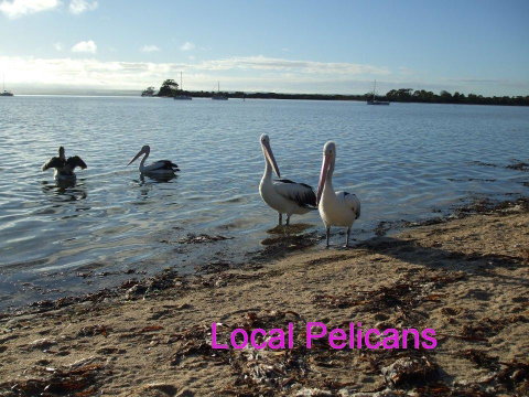 Casuarina Coastal Units - Accommodation Nelson Bay 23