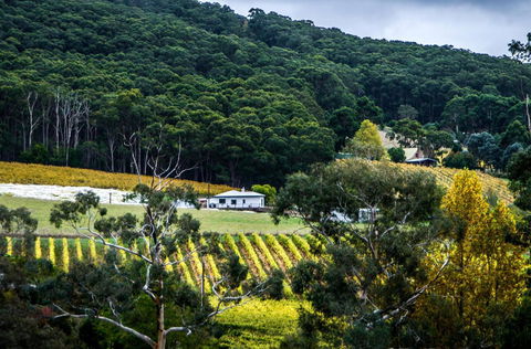 Esto House - Accommodation Nelson Bay 4