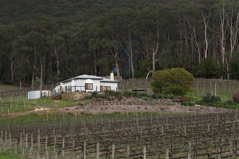 Esto House - Accommodation Nelson Bay 3