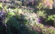 Hilltop Too - thumb 12