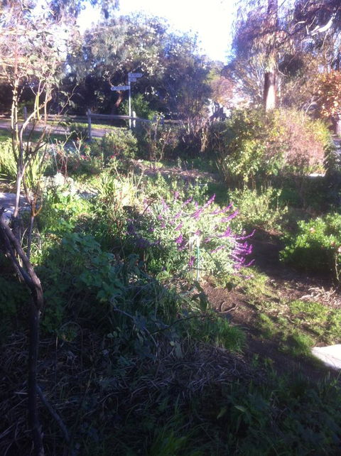 Hilltop Too - Accommodation Nelson Bay 12