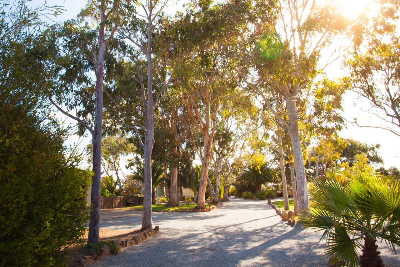  Accommodation Nelson Bay