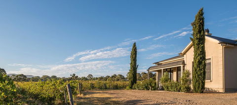 Barossa Shiraz Estate - Accommodation Nelson Bay 13