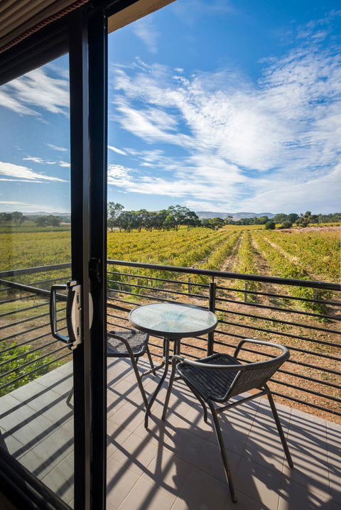 Barossa Shiraz Estate - Accommodation Nelson Bay 33