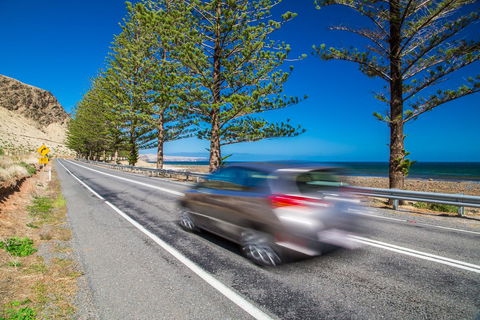 Lady Bay Hotel - Accommodation Nelson Bay 26