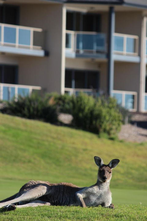 Lady Bay Hotel - Accommodation Nelson Bay 16