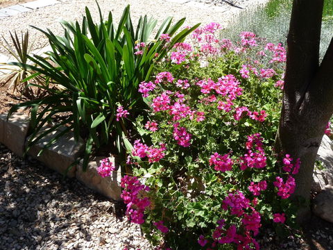Country Bakehouse Accommodation - Accommodation Nelson Bay 18