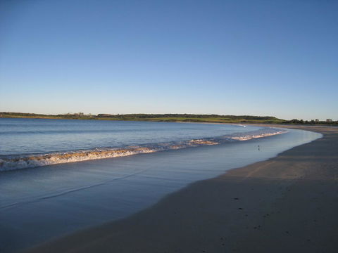 Pelicans Rest Shellharbour - Accommodation Nelson Bay 17