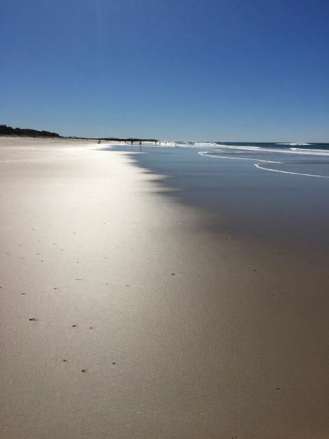 Brunswick Heads Treetop Studio - Accommodation Nelson Bay 23
