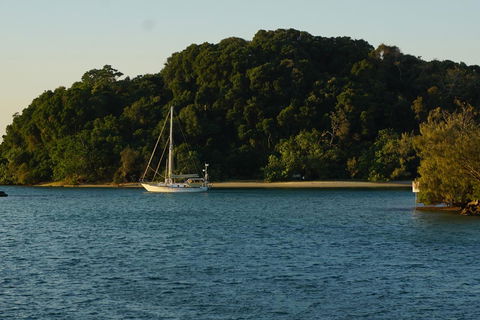 Brunswick Heads Treetop Studio - Accommodation Nelson Bay 9