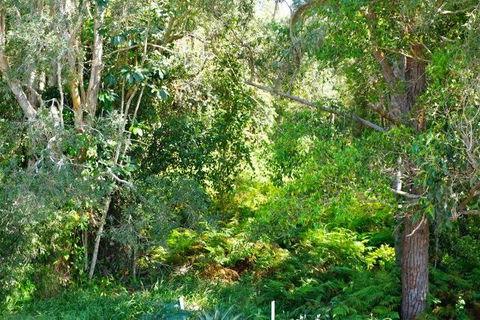 Brunswick Heads Treetop Studio - Accommodation Nelson Bay 20