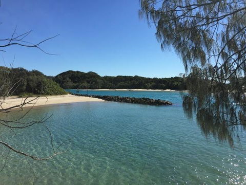 Brunswick Heads Treetop Studio - Accommodation Nelson Bay 22