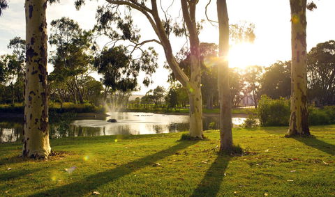 Serafino McLaren Vale - Nelsons Bay Accommodation 14