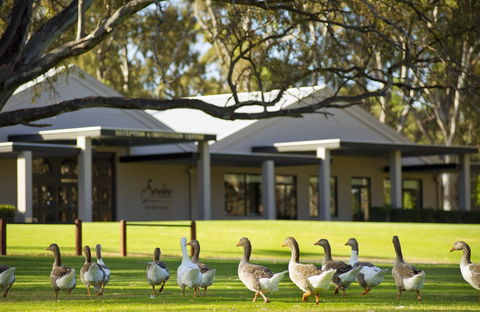 Serafino McLaren Vale - Nelsons Bay Accommodation 17