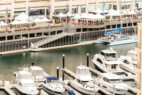 Beachside Luxury & Comfort, Ocean Views In Glenelg - Nelsons Bay Accommodation 6