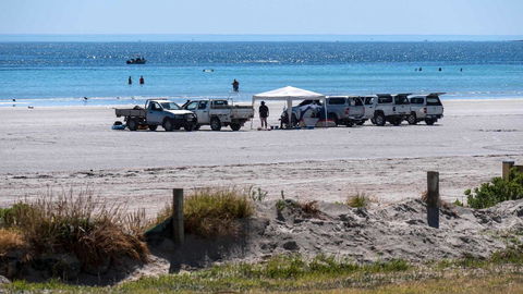 Wallaroo Holiday Park - Accommodation Nelson Bay 9