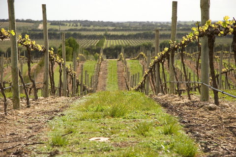 Lakeview Motel And Apartments - Accommodation Nelson Bay 37