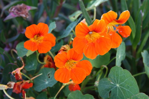 Lakeview Motel And Apartments - Accommodation Nelson Bay 20