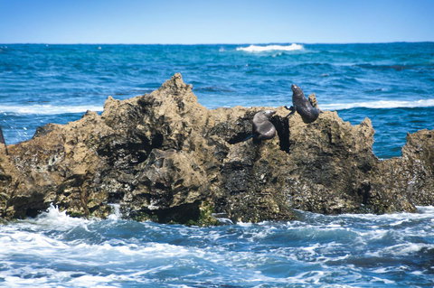 Lakeview Motel And Apartments - Accommodation Nelson Bay 24