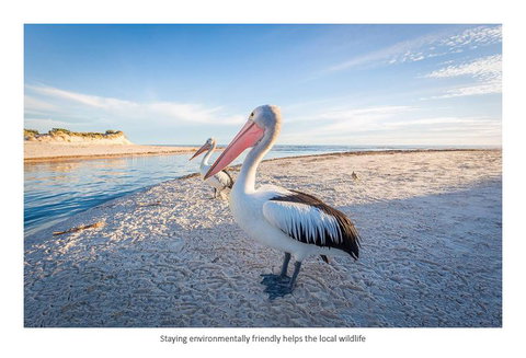 Adelaide Luxury Beach House - Accommodation Nelson Bay 25