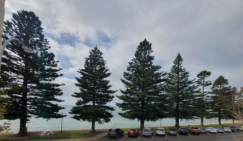 Pier Hotel Port Lincoln - Accommodation Nelson Bay 12