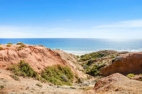 Salomon Sea Haus - Sellicks Beach - C21 SouthCoast Holidays - Accommodation Nelson Bay 1